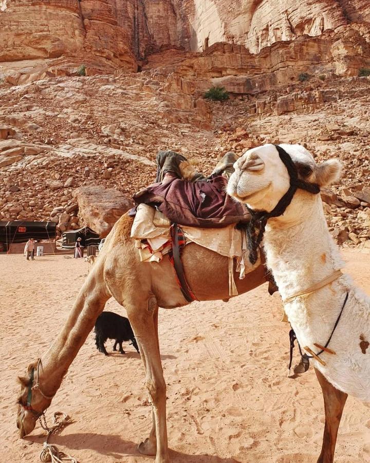 Bed and Breakfast Bedouin Memories Camp Wadi Rum Esterno foto